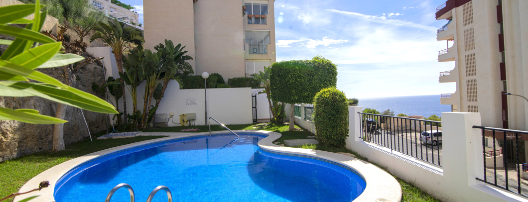 Captura de pantalla 2024-11-27 131418 alargada Captura de pantalla 2024 11 27 131418 alargada 2