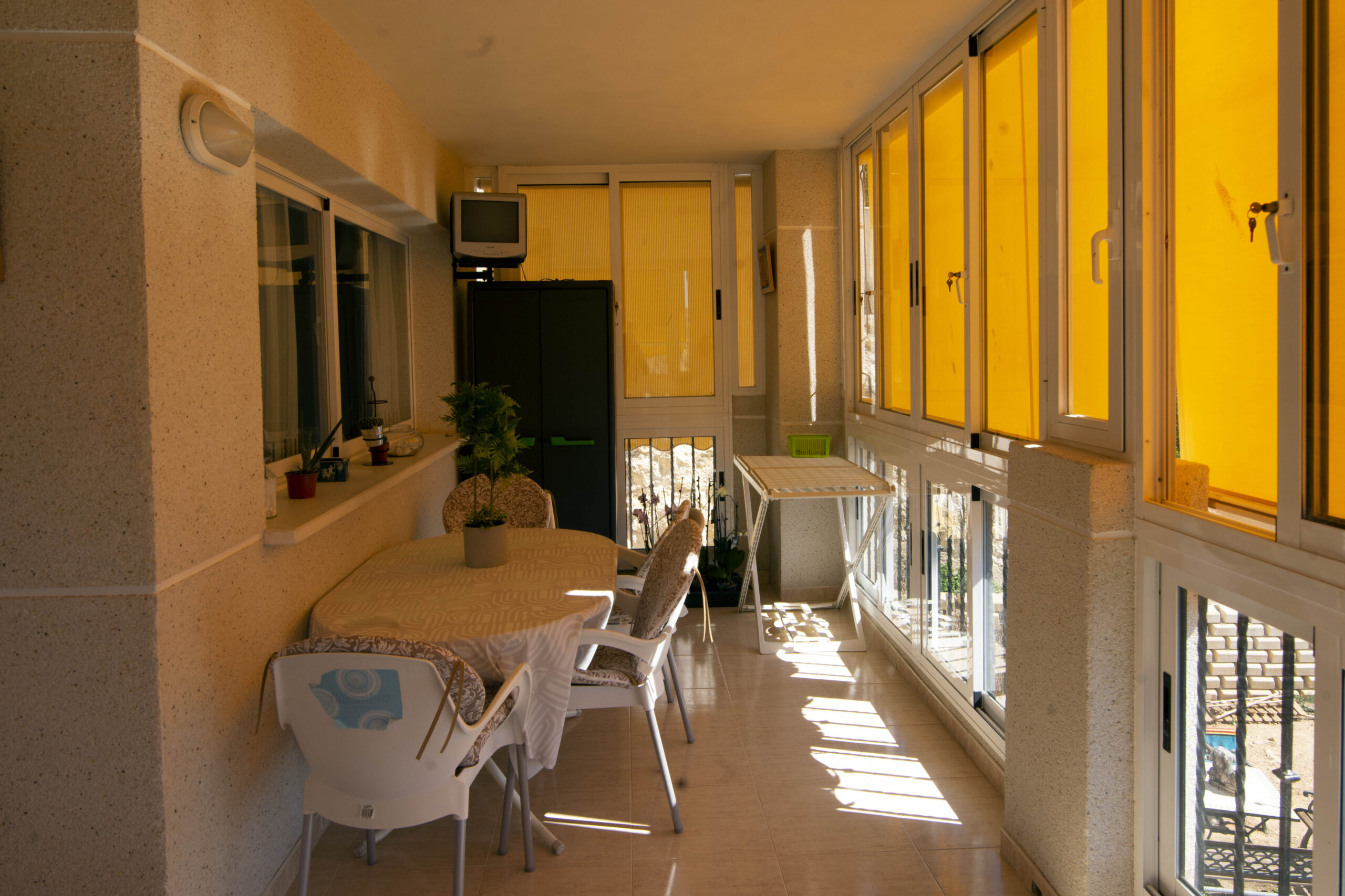 _DSC3810 DSC3810 scaled